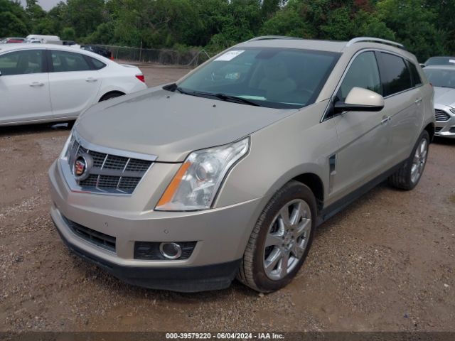 Photo 1 VIN: 3GYFNBE31CS556321 - CADILLAC SRX PERFOR 