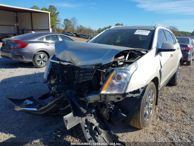 Photo 5 VIN: 3GYFNBE31ES659550 - CADILLAC SRX 