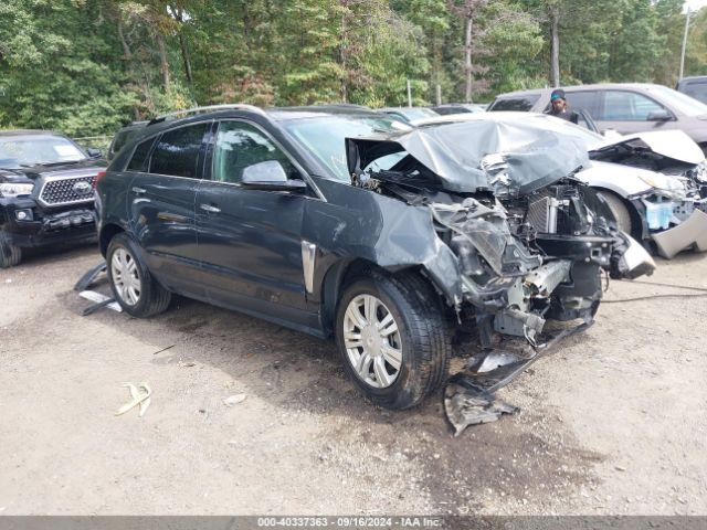 Photo 0 VIN: 3GYFNBE31GS567163 - CADILLAC SRX 