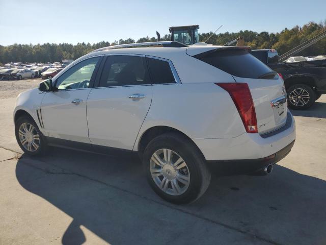 Photo 1 VIN: 3GYFNBE31GS583881 - CADILLAC SRX LUXURY 