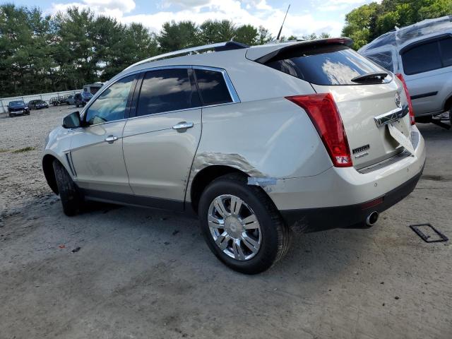 Photo 1 VIN: 3GYFNBE32ES562082 - CADILLAC SRX 