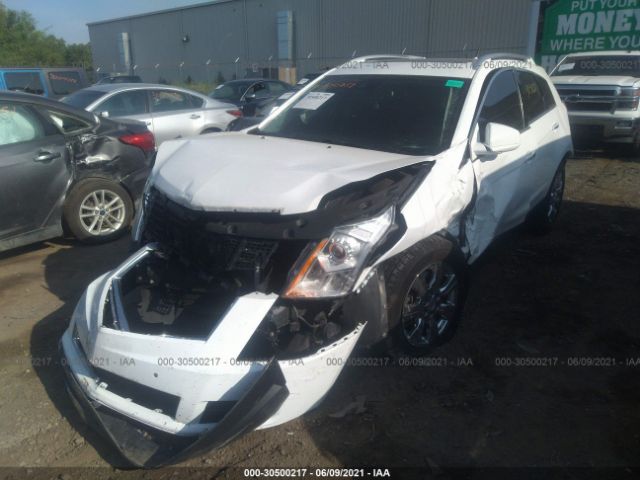 Photo 5 VIN: 3GYFNBE32ES568867 - CADILLAC SRX 