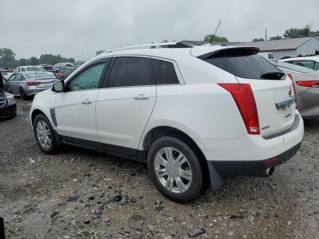 Photo 1 VIN: 3GYFNBE33ES610639 - CADILLAC SRX LUXURY 