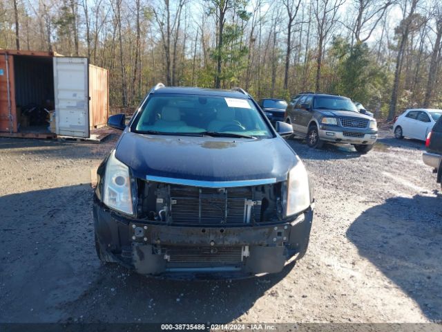 Photo 5 VIN: 3GYFNBE33FS608052 - CADILLAC SRX 