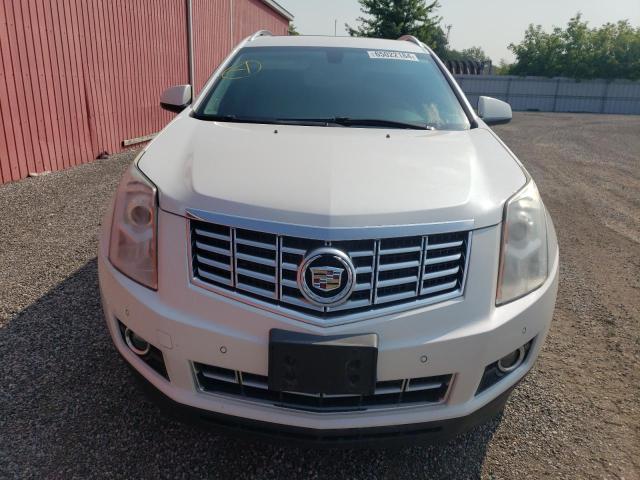 Photo 4 VIN: 3GYFNBE33FS612232 - CADILLAC SRX LUXURY 