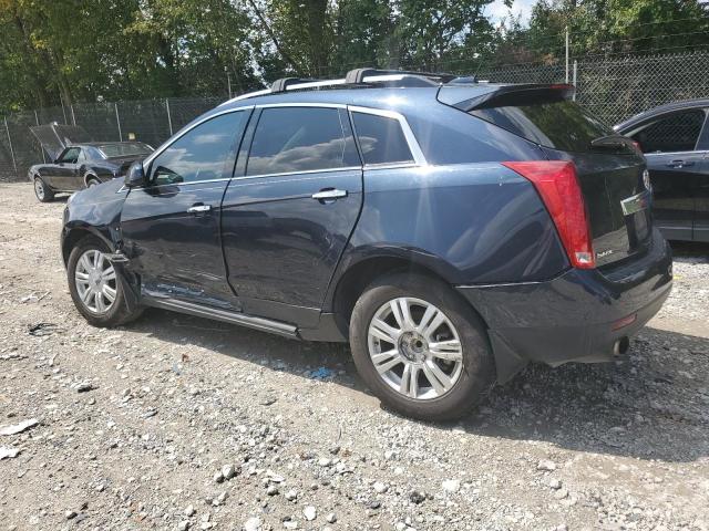 Photo 1 VIN: 3GYFNBE33GS526842 - CADILLAC SRX LUXURY 