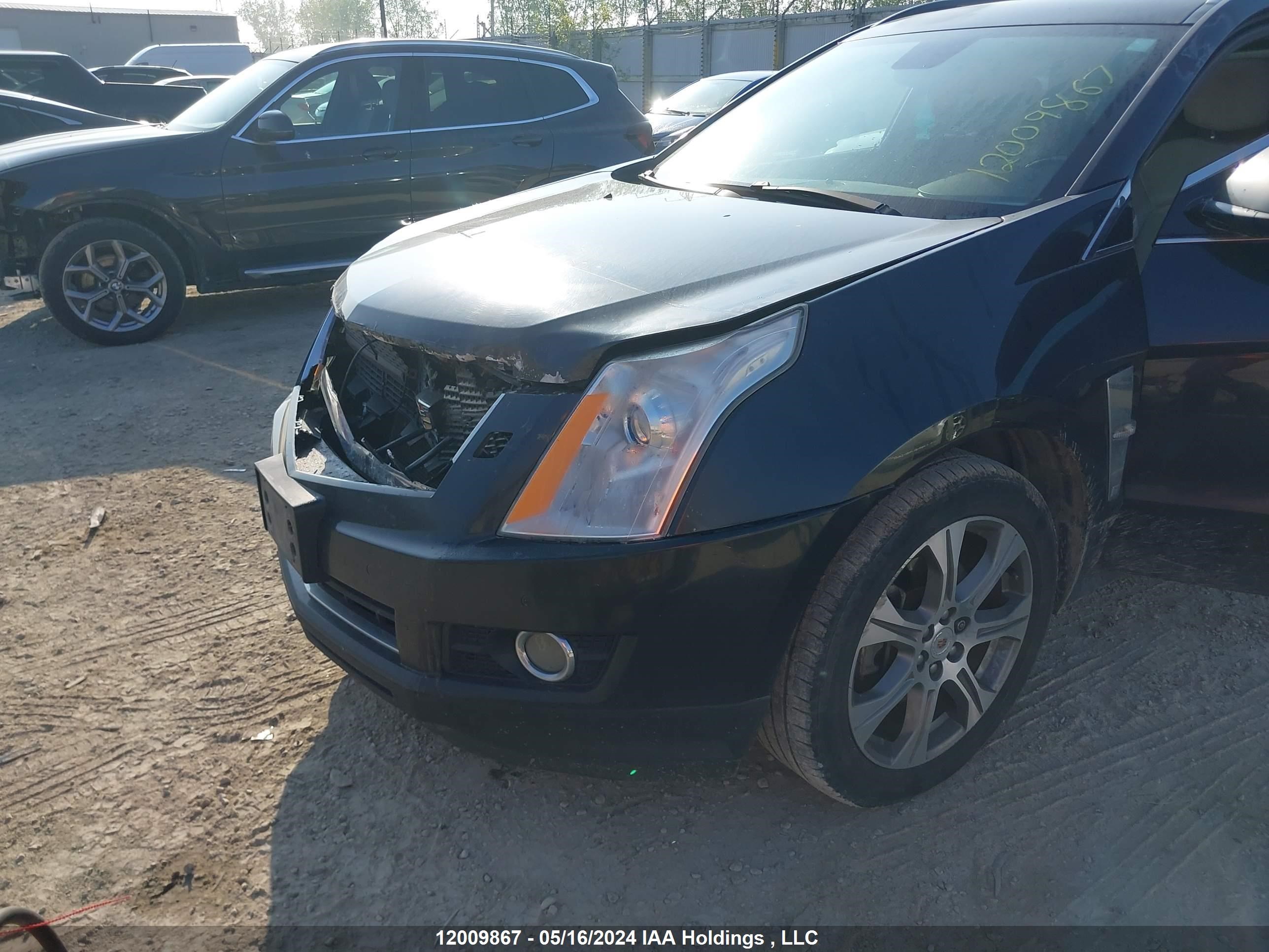 Photo 5 VIN: 3GYFNBE34CS582413 - CADILLAC SRX 