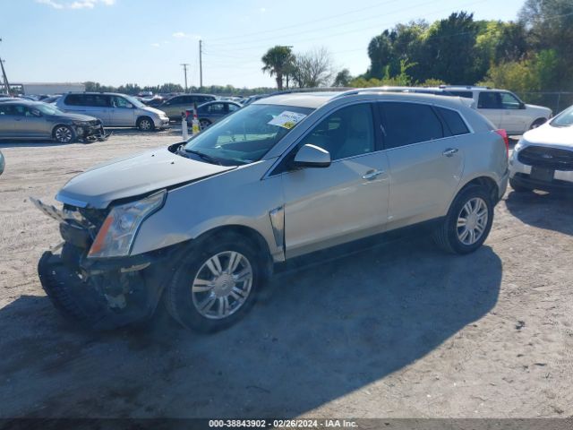 Photo 1 VIN: 3GYFNBE34ES546479 - CADILLAC SRX 