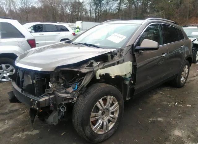 Photo 1 VIN: 3GYFNBE34ES585511 - CADILLAC SRX 