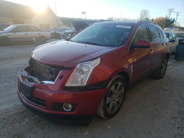 Photo 1 VIN: 3GYFNBE35CS597955 - CADILLAC SRX PERFOR 