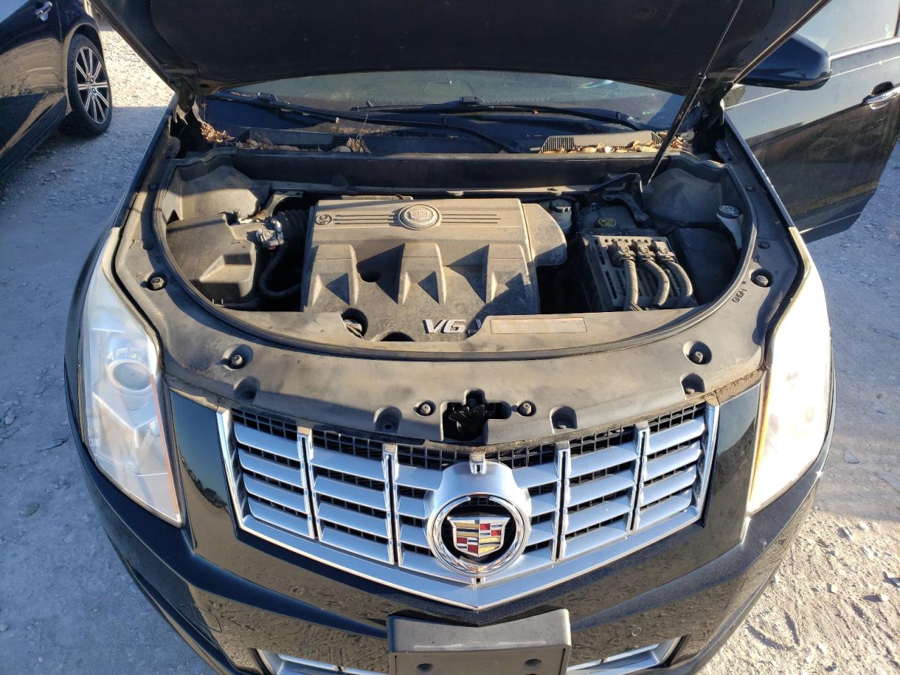 Photo 10 VIN: 3GYFNBE35ES565879 - CADILLAC SRX 