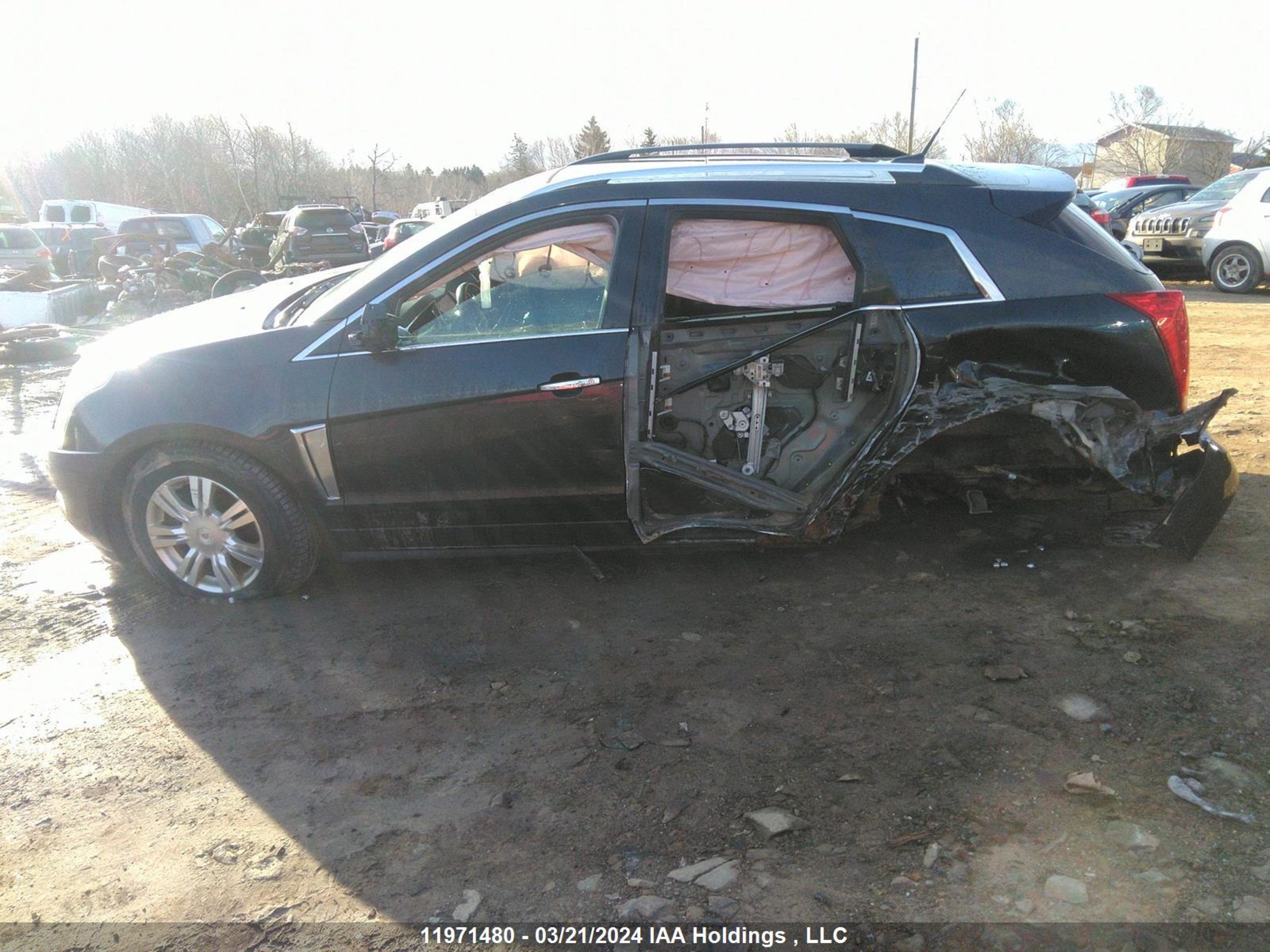 Photo 14 VIN: 3GYFNBE35ES595674 - CADILLAC SRX 