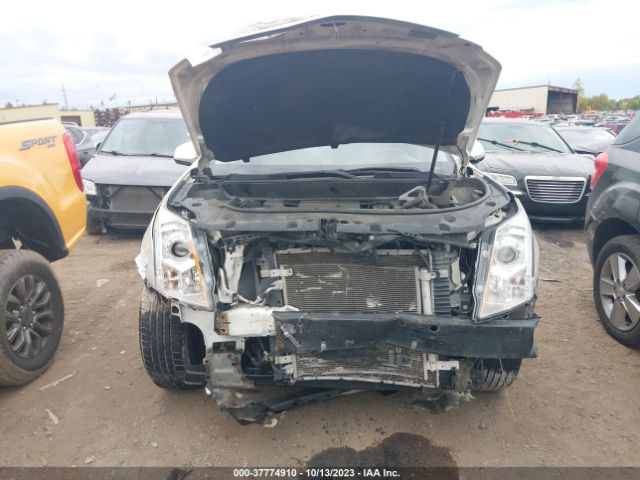 Photo 5 VIN: 3GYFNBE35FS508647 - CADILLAC SRX 