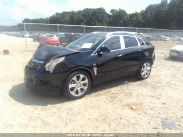 Photo 1 VIN: 3GYFNBE36CS509267 - CADILLAC SRX 