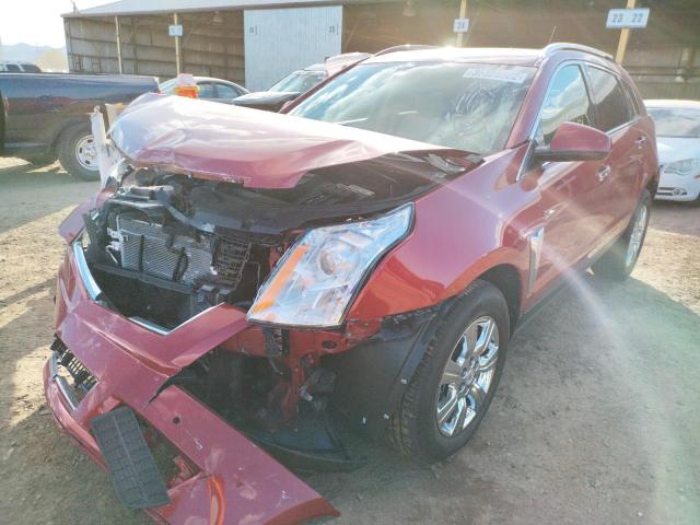 Photo 1 VIN: 3GYFNBE36ES629248 - CADILLAC SRX LUXURY 