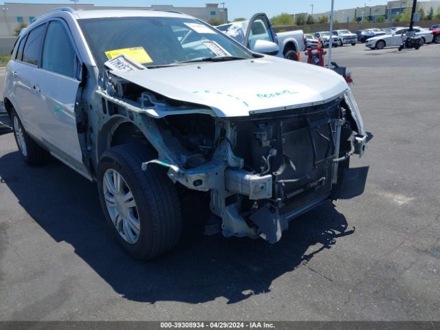 Photo 5 VIN: 3GYFNBE36GS518525 - CADILLAC SRX 