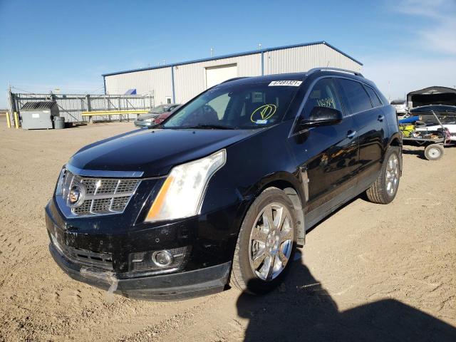 Photo 1 VIN: 3GYFNBE37CS655614 - CADILLAC SRX PERFOR 