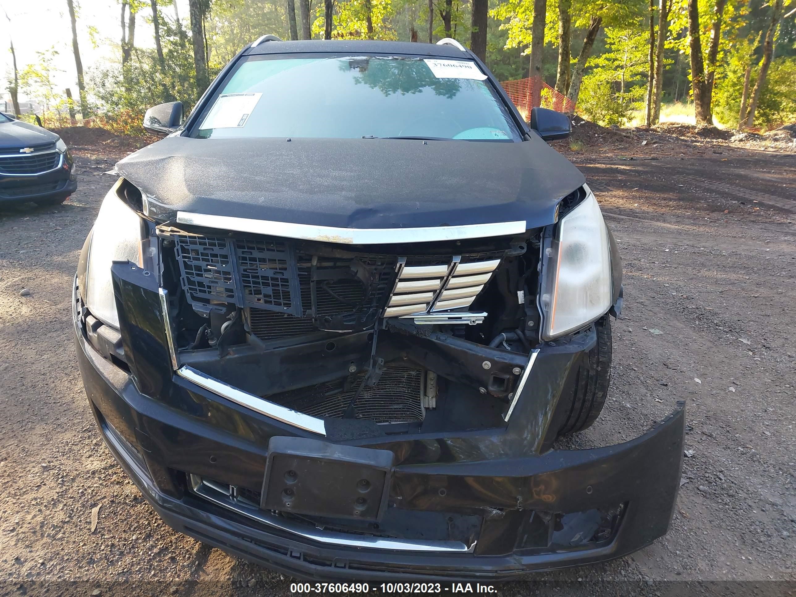 Photo 11 VIN: 3GYFNBE37GS505878 - CADILLAC SRX 