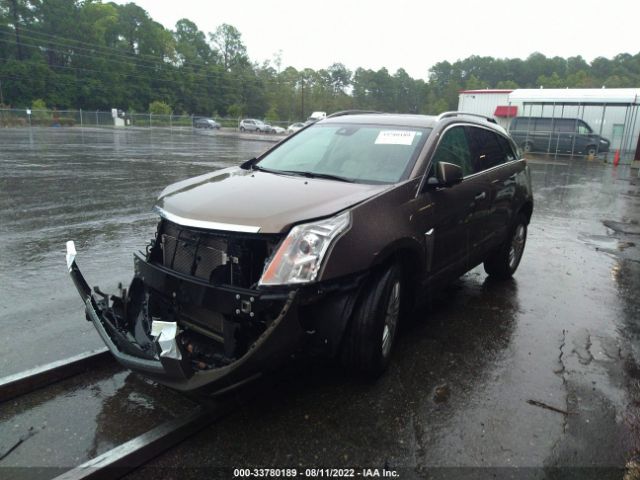 Photo 1 VIN: 3GYFNBE38GS582646 - CADILLAC SRX 