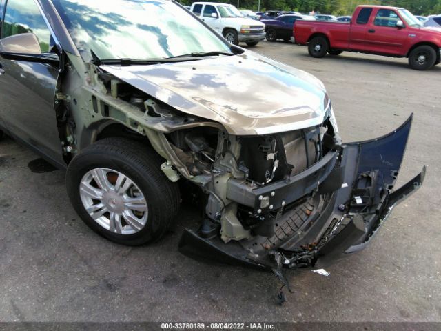 Photo 5 VIN: 3GYFNBE38GS582646 - CADILLAC SRX 