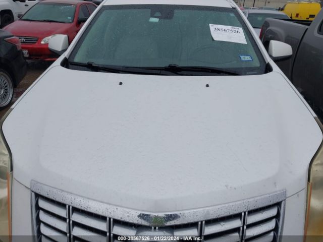 Photo 9 VIN: 3GYFNBE39ES660879 - CADILLAC SRX 