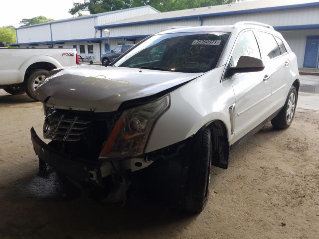 Photo 1 VIN: 3GYFNBE39GS547078 - CADILLAC SRX LUXURY 