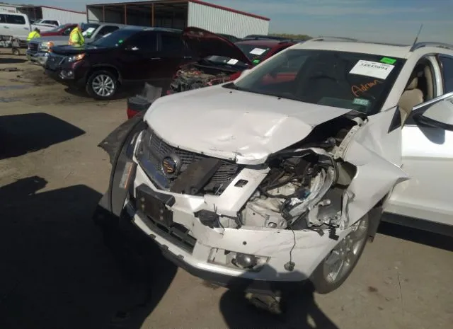 Photo 5 VIN: 3GYFNBE3XCS534740 - CADILLAC SRX 