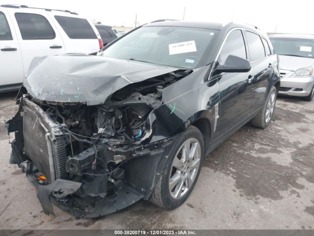 Photo 1 VIN: 3GYFNBE3XCS629184 - CADILLAC SRX 