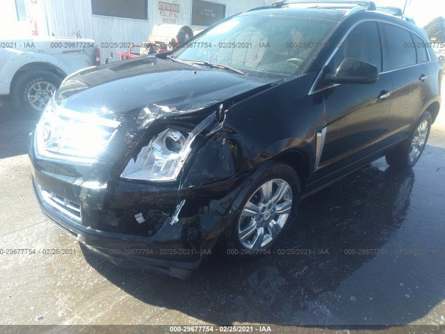 Photo 5 VIN: 3GYFNBE3XGS555416 - CADILLAC SRX 