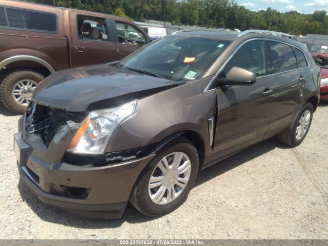 Photo 1 VIN: 3GYFNBE3XGS571597 - CADILLAC SRX 