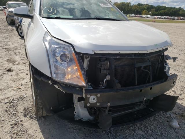 Photo 8 VIN: 3GYFNBEY0AS567142 - CADILLAC SRX PERFOR 