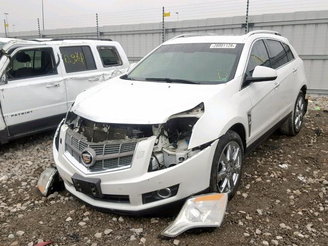 Photo 1 VIN: 3GYFNBEY0BS639796 - CADILLAC SRX PERFOR 