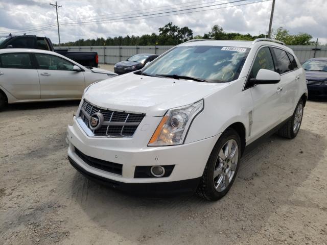 Photo 1 VIN: 3GYFNBEY1AS521576 - CADILLAC SRX PERFOR 