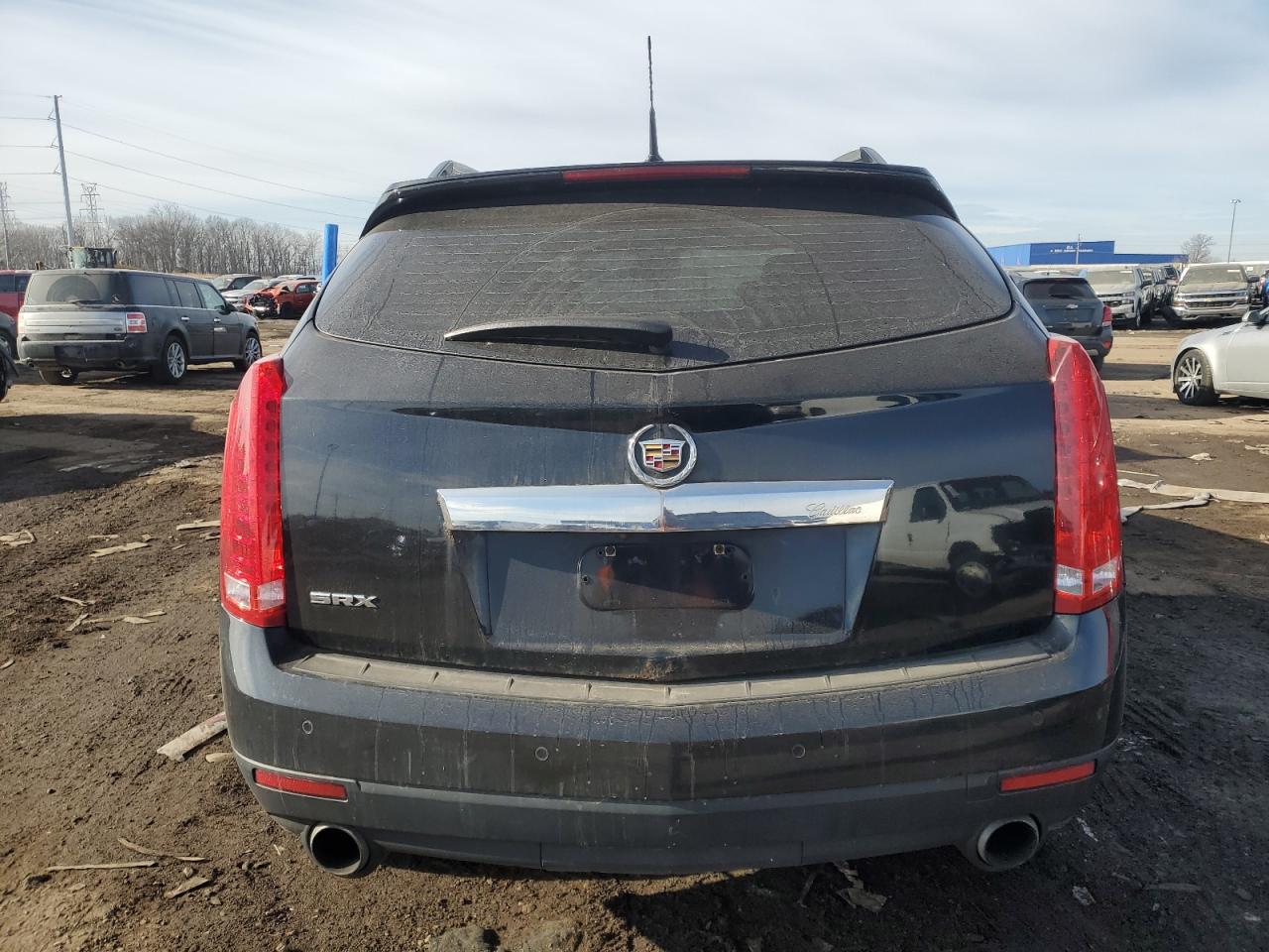 Photo 6 VIN: 3GYFNBEY1AS646089 - CADILLAC SRX 