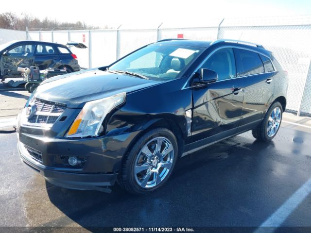 Photo 1 VIN: 3GYFNBEY1BS671009 - CADILLAC SRX 