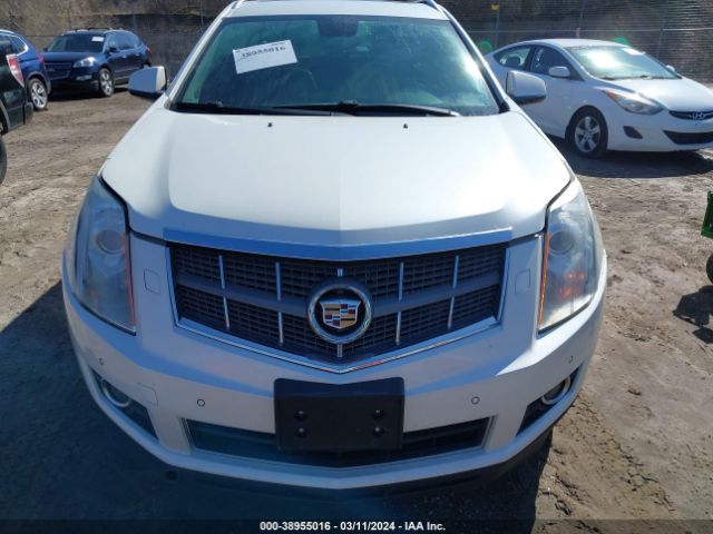 Photo 5 VIN: 3GYFNBEY3BS589573 - CADILLAC SRX 