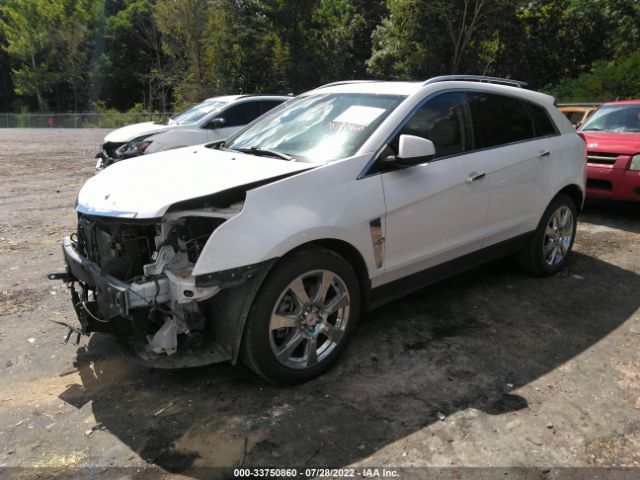 Photo 1 VIN: 3GYFNBEY5AS649948 - CADILLAC SRX 