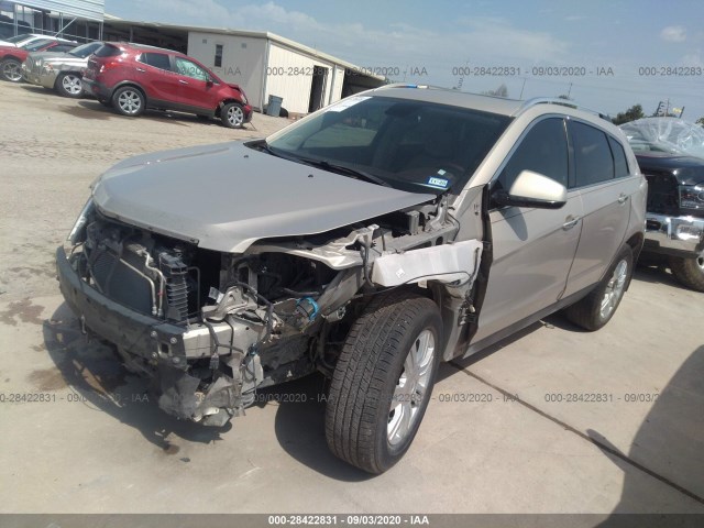 Photo 1 VIN: 3GYFNBEY5BS631337 - CADILLAC SRX 