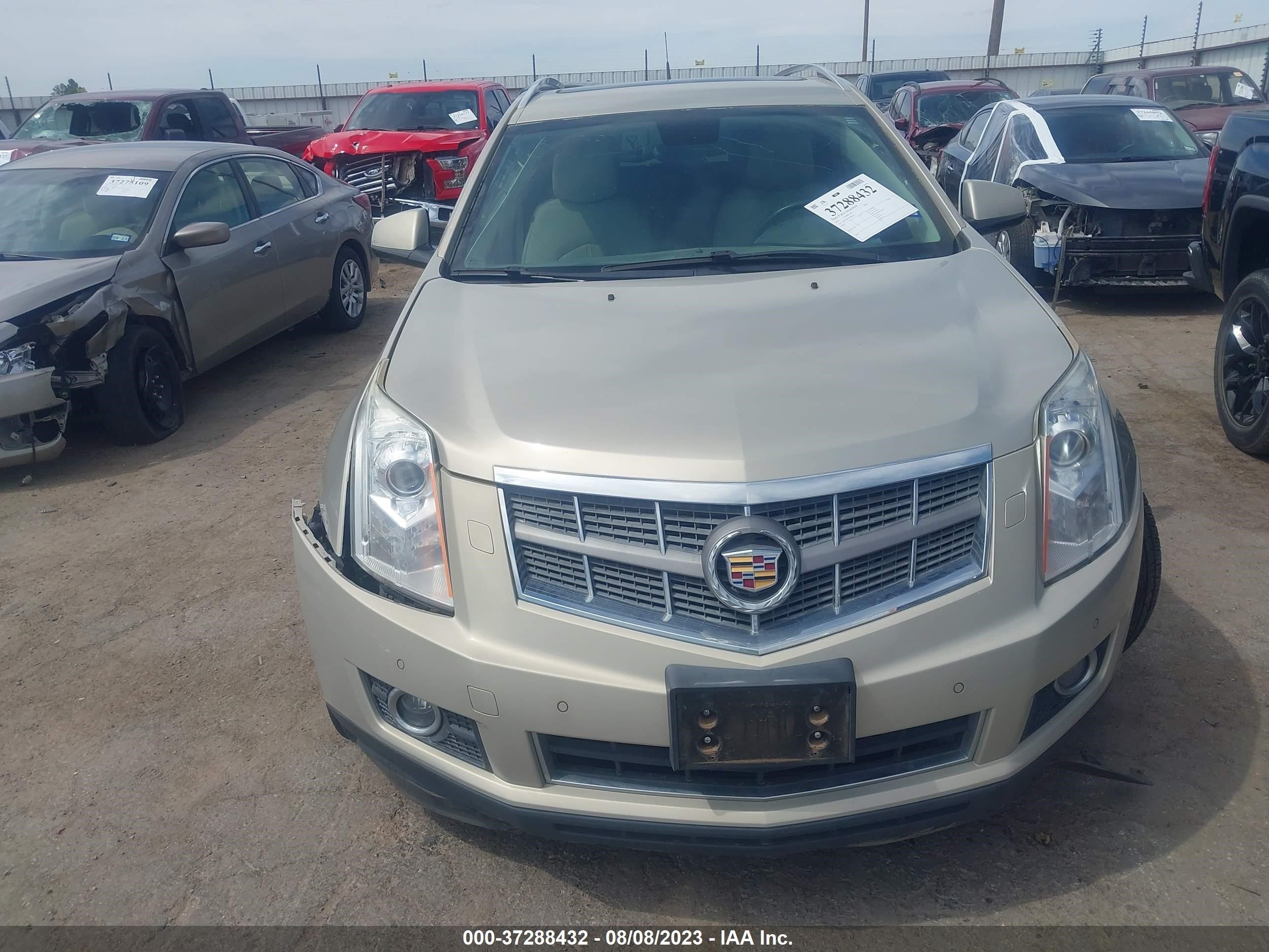 Photo 10 VIN: 3GYFNBEY6BS660331 - CADILLAC SRX 