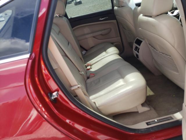 Photo 5 VIN: 3GYFNBEY7BS538724 - CADILLAC SRX PERFOR 