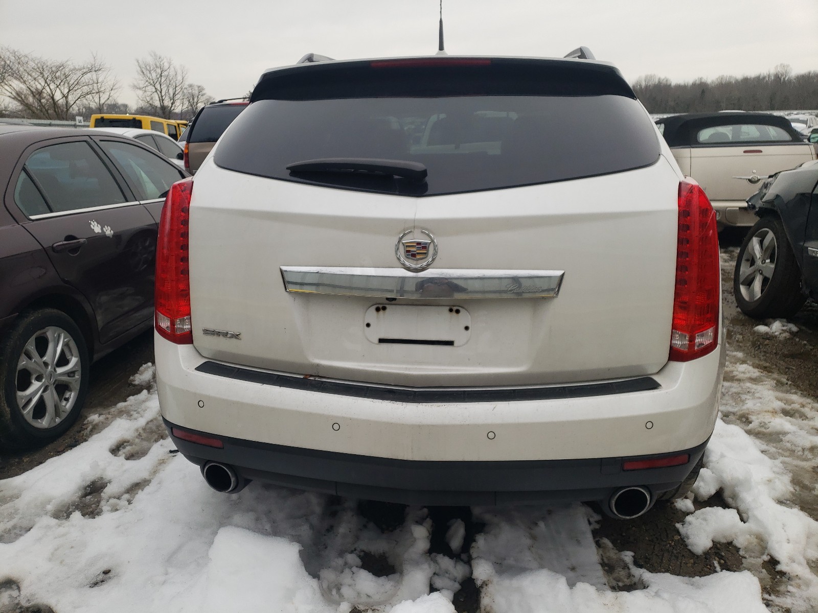 Photo 8 VIN: 3GYFNBEY8AS562271 - CADILLAC SRX PERFOR 