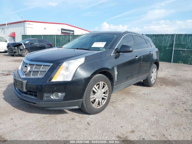 Photo 1 VIN: 3GYFNBEY8AS566840 - CADILLAC SRX 