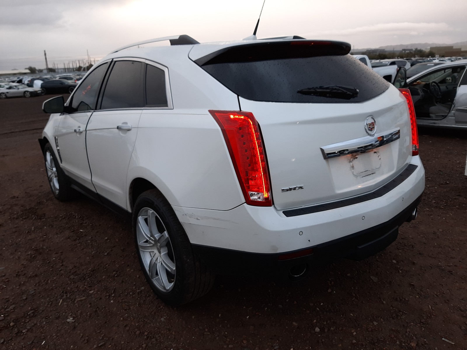 Photo 2 VIN: 3GYFNBEY8BS565463 - CADILLAC SRX PERFOR 