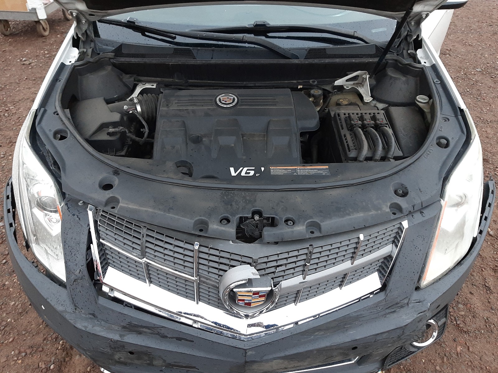 Photo 6 VIN: 3GYFNBEY8BS565463 - CADILLAC SRX PERFOR 