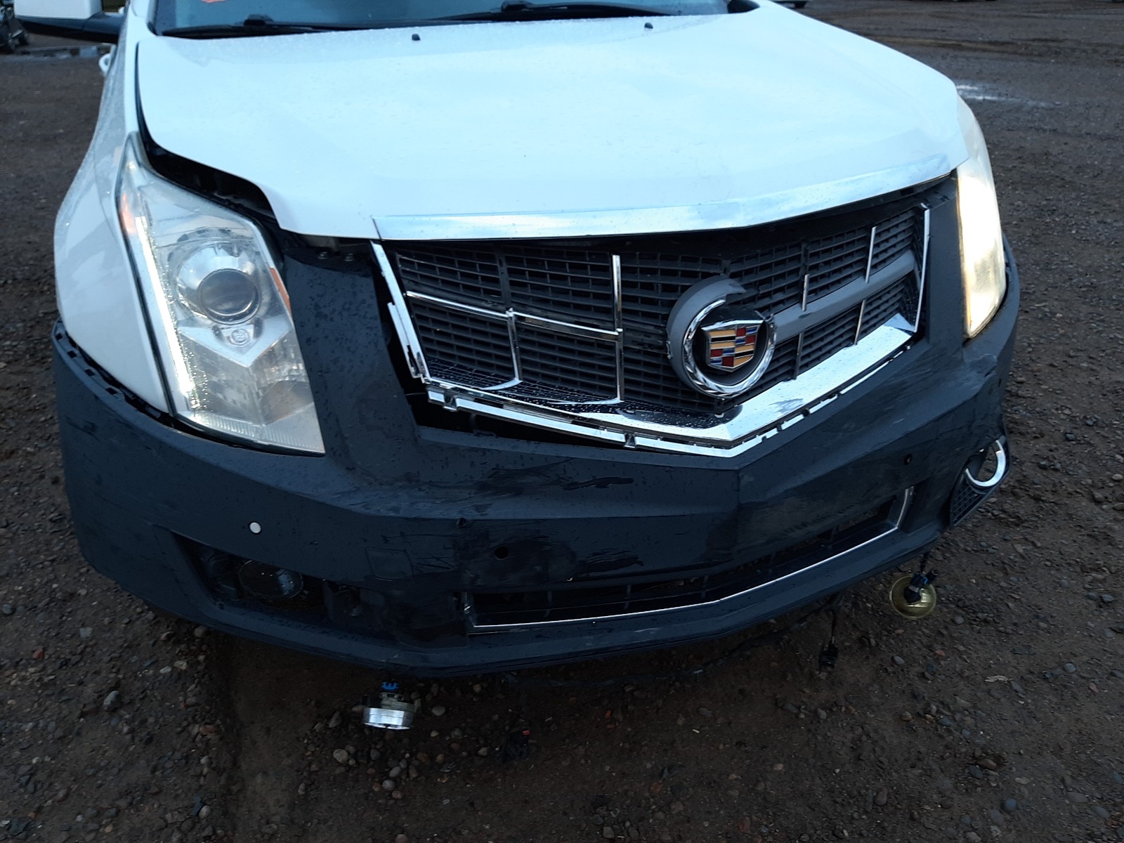 Photo 8 VIN: 3GYFNBEY8BS565463 - CADILLAC SRX PERFOR 