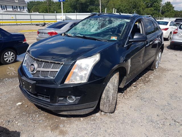 Photo 1 VIN: 3GYFNBEY9AS509479 - CADILLAC SRX PERFOR 