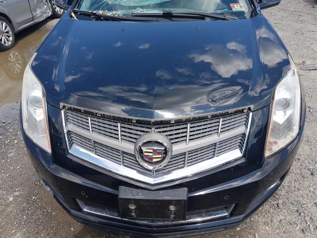 Photo 6 VIN: 3GYFNBEY9AS509479 - CADILLAC SRX PERFOR 