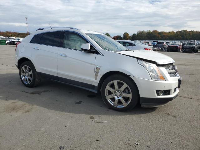 Photo 3 VIN: 3GYFNBEY9AS550887 - CADILLAC SRX PERFOR 