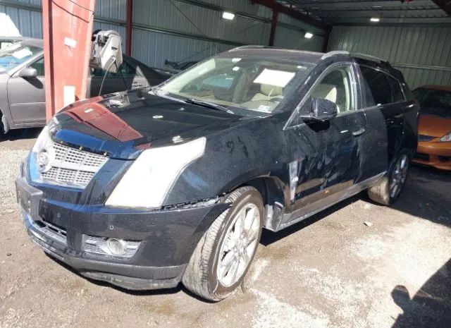 Photo 1 VIN: 3GYFNBEY9AS629458 - CADILLAC SRX 