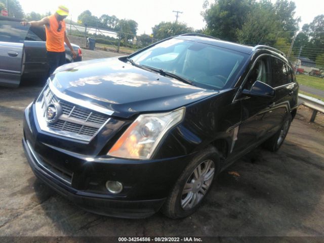 Photo 1 VIN: 3GYFNBEY9AS652948 - CADILLAC SRX 